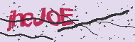 Captcha認証コード